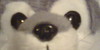 :iconcanines-lovers:
