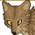 :iconcaninesinasodabottle: