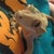 canis-phantom :iconcanis-phantom: