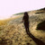 :iconcanislovesmaroon5: