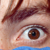 :iconcannonfiled: