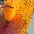 :iconcanopie210: