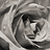 :iconcantastrom: