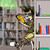 :iconcantdrawforcrap: