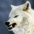 :iconcantletyoudothatplz:
