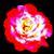 :iconcap-andy: