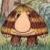 :iconcap0: