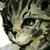 :iconcapcomcc:
