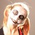 :iconcapninkdevil: