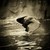 :iconcapred-9: