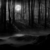 :iconcapricious494: