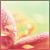 :iconcapslock666:
