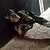 :iconcapt-boogs:
