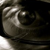 captage :iconcaptage:
