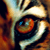 :iconcaptain-beefy: