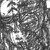 :iconcaptain-mocha: