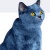 :iconcaptain-ryia: