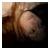 :iconcaptain-spunxious: