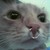 :iconcaptainalex: