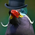 :iconcaptainawesome802: