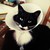 CaptainDeRoga :iconcaptainderoga:
