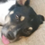 CaptainKat2121 :iconcaptainkat2121: