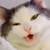 :iconcaptainnadja: