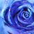 :iconcaptainspaceout: