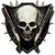 :iconcaptainwarfare: