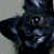 :iconcaptainxcigar: