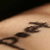 :iconcaptivatingstray: