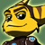 :iconcaptrandom:
