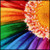 :iconcapturethepicture: