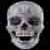 :iconcaptvalk: