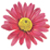 :iconcapulinfoto: