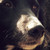 :iconcara-bailey-ilu: