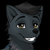 :iconcaramba2654: