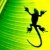 :iconcarambar: