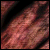 :iconcaramel-rain:
