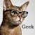 :iconcaramel-shun: