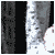 :iconcaramelapplecorpse: