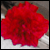 :iconcarbondioxide: