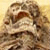 :iconcarcassbloodycarcass: