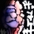 :iconcarcharodog: