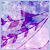 :iconcardbo: