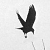:iconcardboardmind: