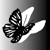 :iconcardbreak: