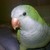 :iconcardcounter: