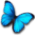 :iconcardelli: