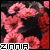 :iconcardinal-zinnia: